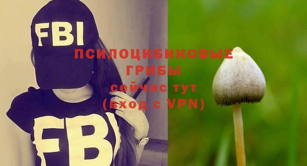 PSILOCYBIN Балабаново