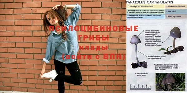 стафф Баксан