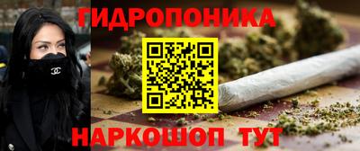 индика Волжск