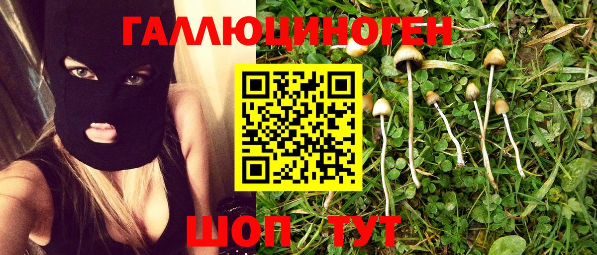 Псилоцибиновые грибы прущие грибы  Псилоцибиновые грибы ЛСД  цены   Вход с VPN  Белово 
